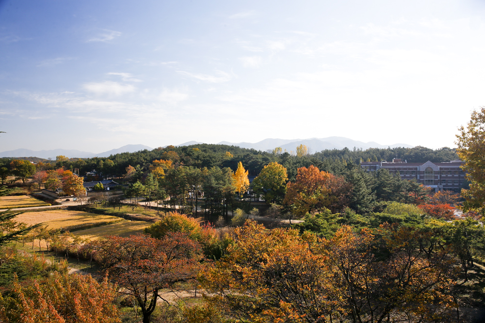 Campus-Autumn 2014